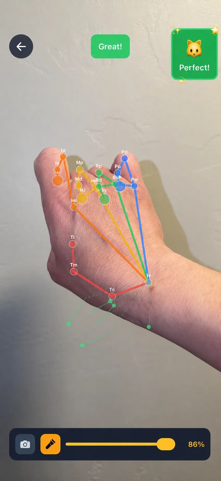 Shadow Pals live hand tracking screen showing a real hand pose with colored finger guidance and a perfect match indicator.