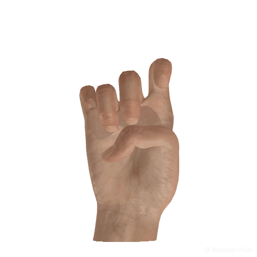 Palmar view hand pose reference for the Shadow Pals cat figure.