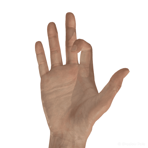 Palmar view hand pose reference for the Shadow Pals dog figure.