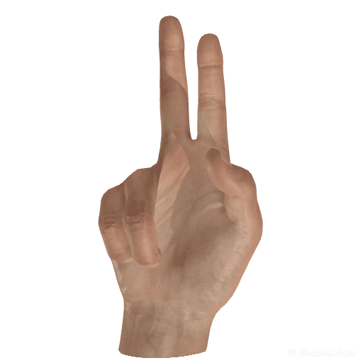 Palmar view hand pose reference for the Shadow Pals peace sign figure.